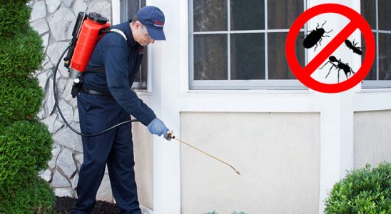 Türkoğlu Fare İlaçlama böcek ilaçlama ve haşere kontrolü — ilaclama-tr.com